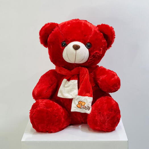Red Teddy Bear Plush Toy