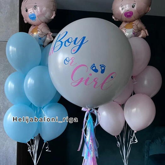 Gender Reveal Set with Baby Figures