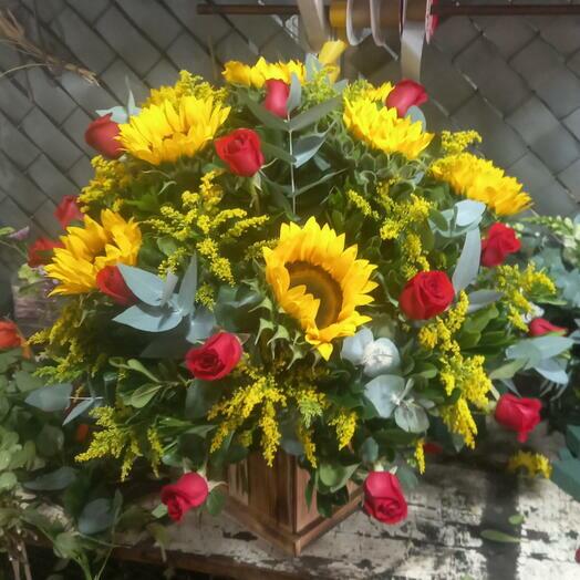 Girasoles en corteza