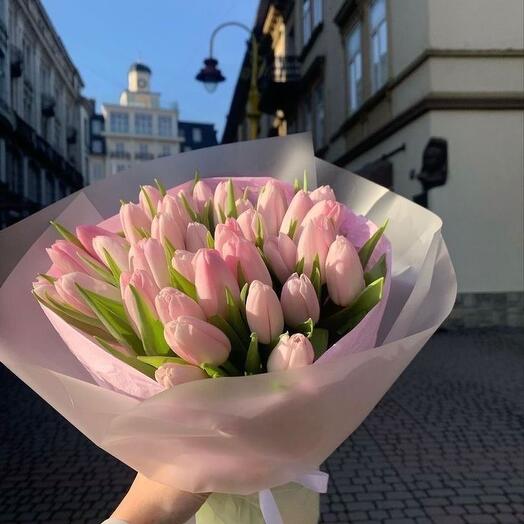 Pink tulips 25 stems