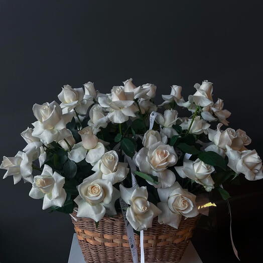 White roses, 50pcs