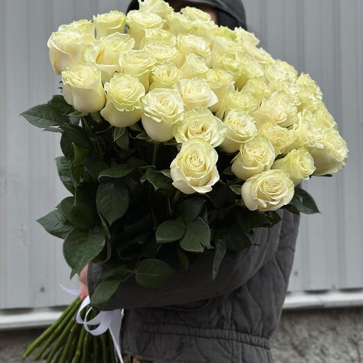 100 cm 31 White Rose