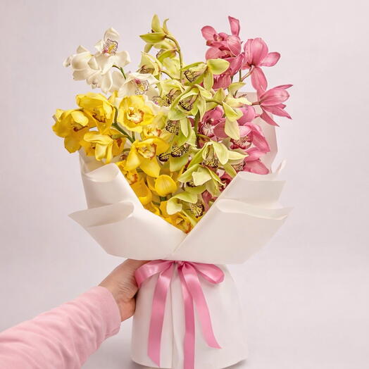 Orchidee - Cymbidium Mix