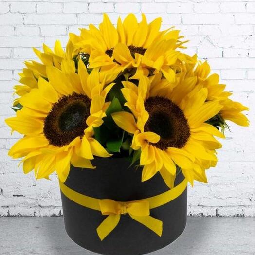 Sunflowers in a round box