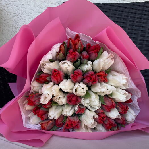 50 премиум тюльпан