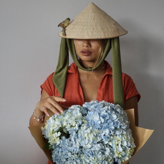 Monobouquet of Hydrangeas in Kraft Paper