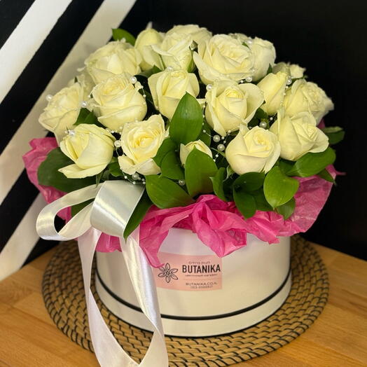 Rose white 25 box