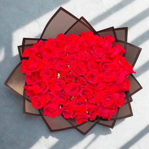 50 Razões Para Amar