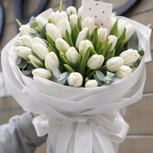 White tulips - Spring collection