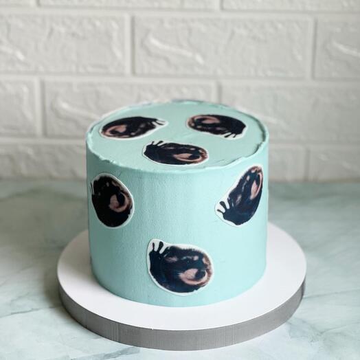 Cake with any edible print