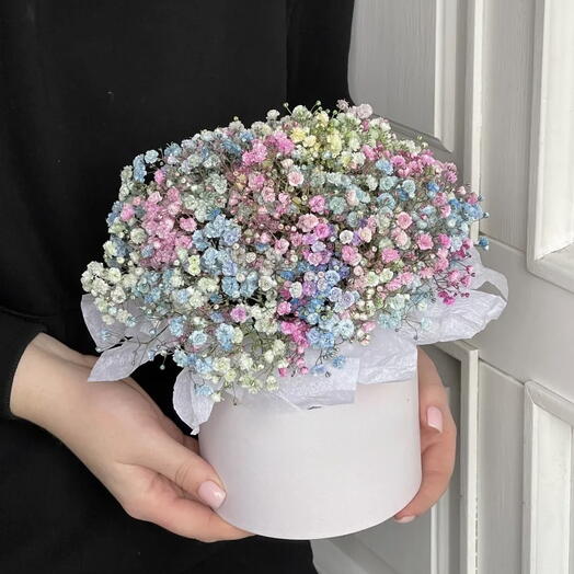 Коробка с радужных гипсофил