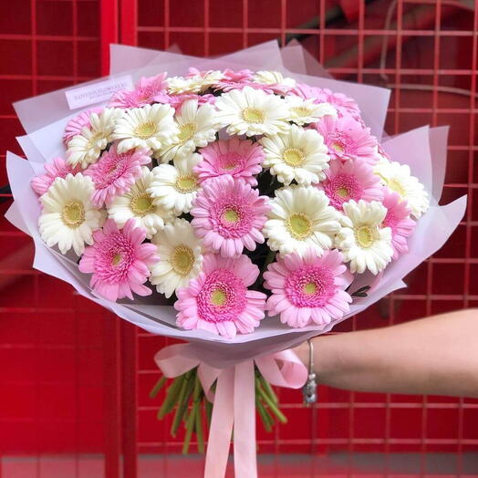 Gerbera Pink Beauty!  Win Her heart at first sight :)