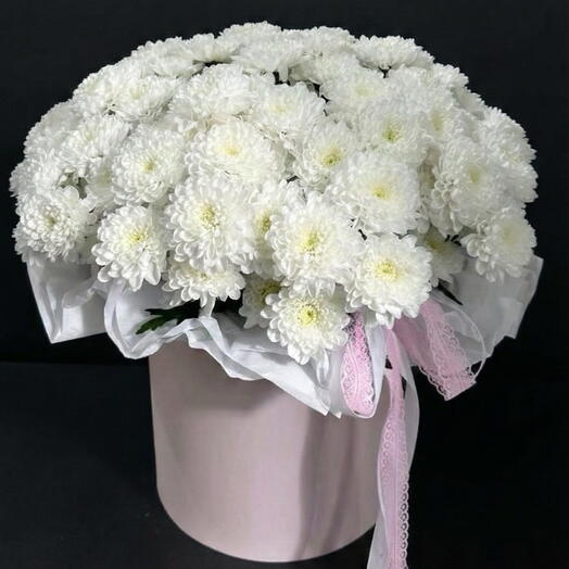 🤍 White Chrysanthemums in a Hat Box