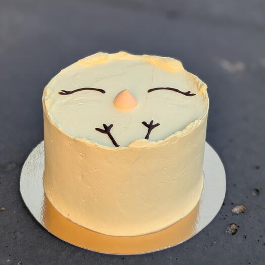 Cute chicken cake