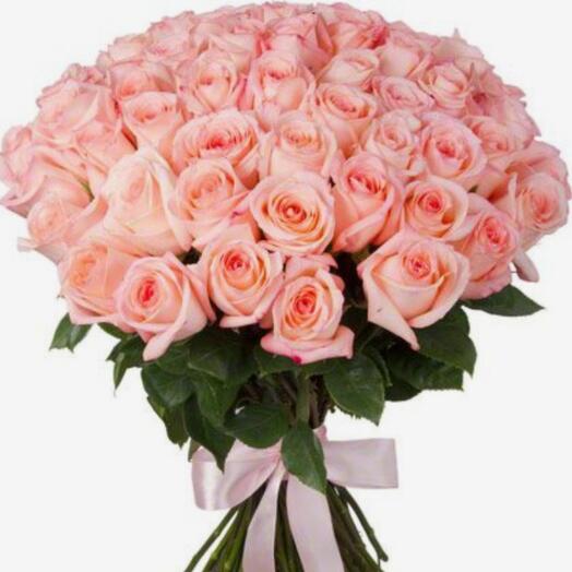 51 pink equador rouses(70 cm!)