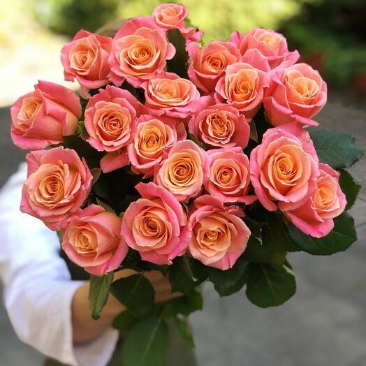 23 Miss piggy roses
