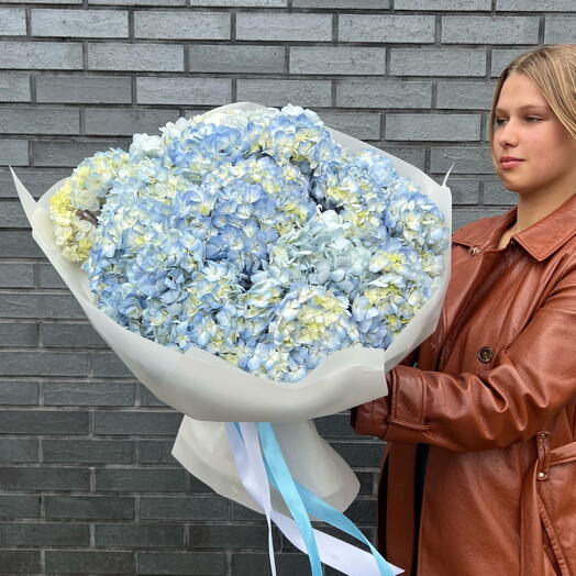 Букет из однотонных голубых гортензий, 11 стеблей.