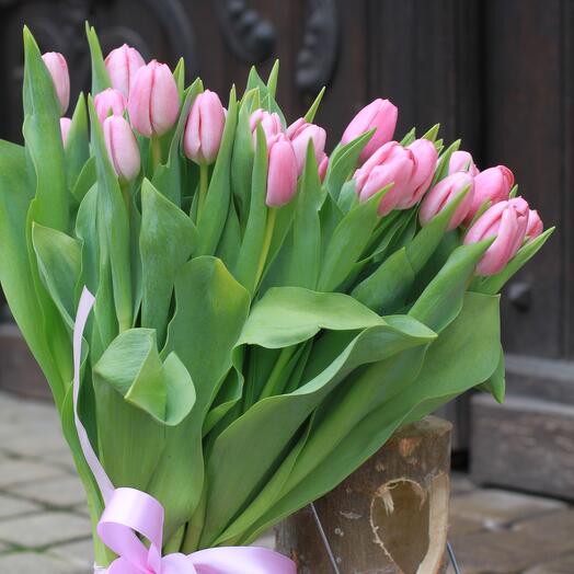 Tulip dream (15 stem)