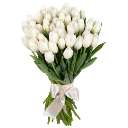 Mono bouquet of tulips 35 pcs