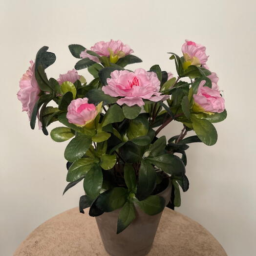 Konstgjorda rosa azalea