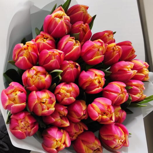 Tulips Mix