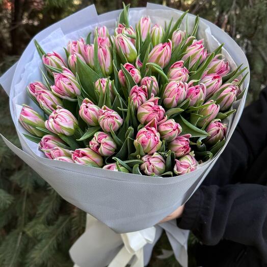 45 Peony Tulip - Pinky White