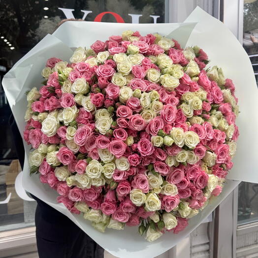 101 mix of spray roses