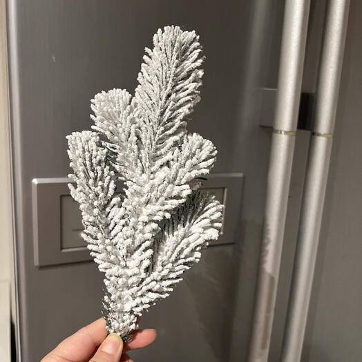 Snow-covered branch of pine needles