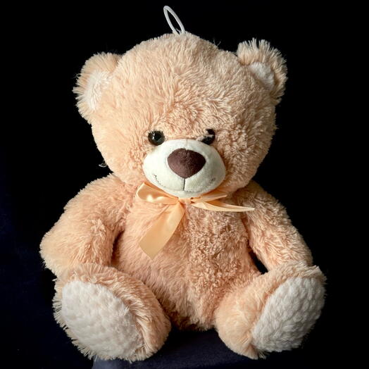 Teddy Bear 40 cm