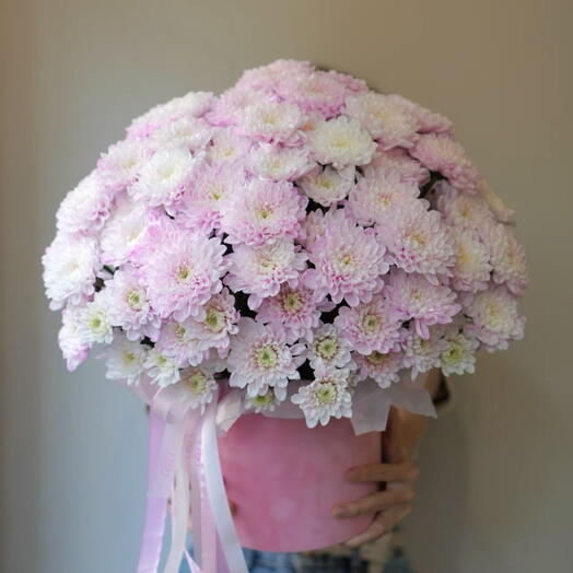 Botanikai Intimitás