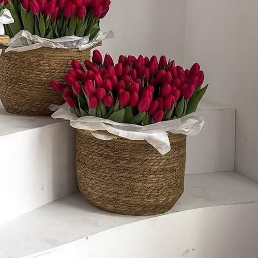 Tulips|Basket of tulips |Basket of tulips