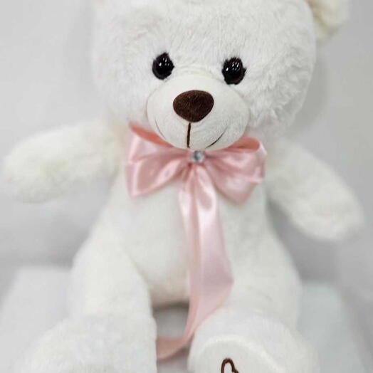 Peluche Orso  rose