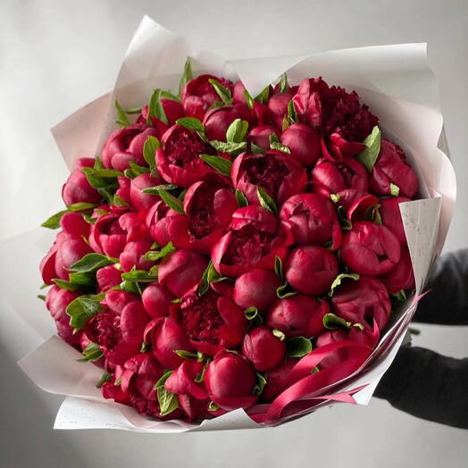 Peonies Burgundy size L