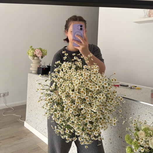Chamomile Bouquet