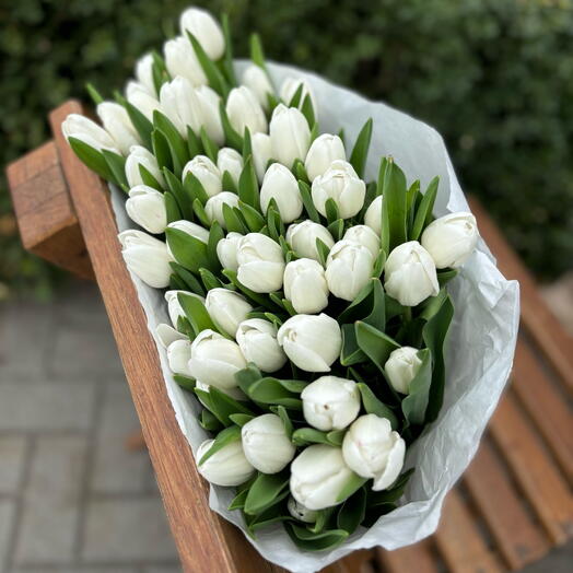 White tulips