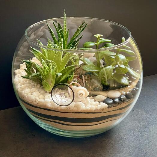 Florarium Yin and Yan in a vase sphere