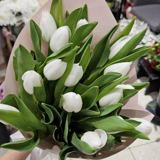 White tulips 15pcs