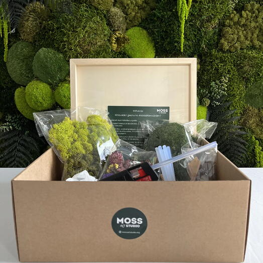 DIY Square-Frame Moss Art Kit Create Your Own 🌿