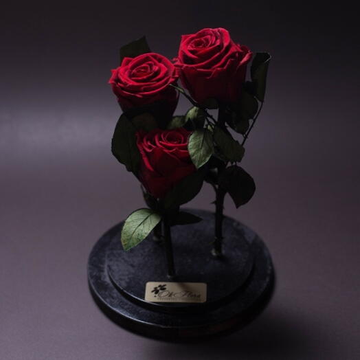 Стабилизированные красные розы в большом куполе