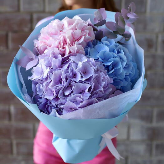 Гортензия микс в голубом оформлении «Charlotte»
