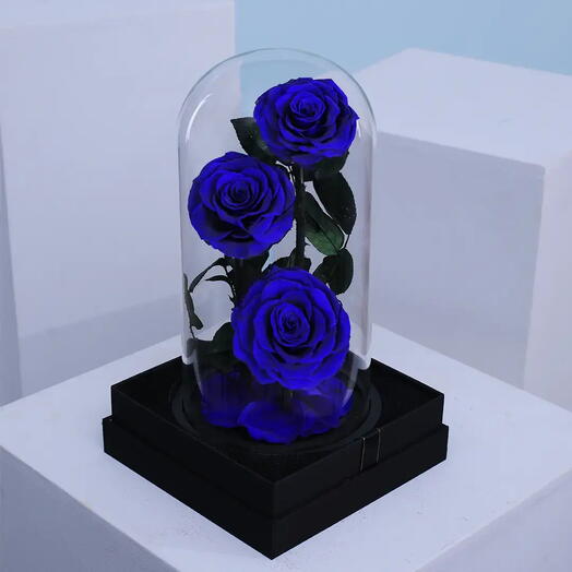 Blue  Forever Rose