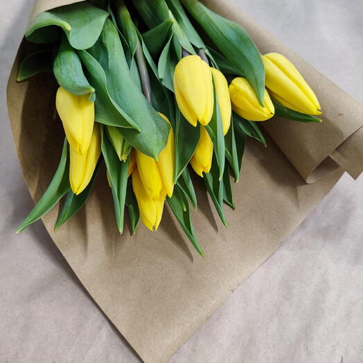 Kollased tulbid — 11 tk