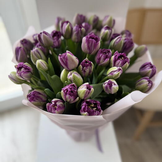 40 purple peony tulips