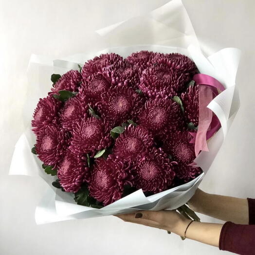Bouquet of chrysanthemum Plum