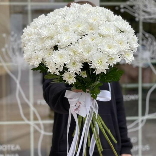 11 белых хризантем