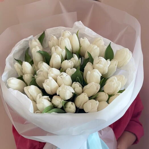50 тюльпан