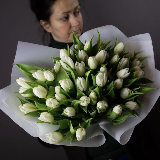 White single tulips, 50pcs