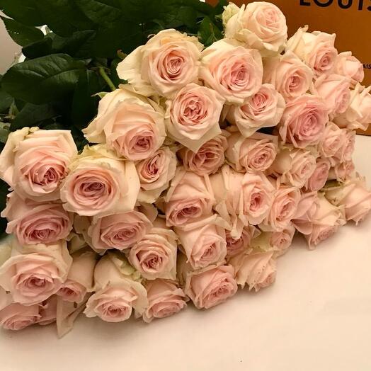 51 Pink Roses