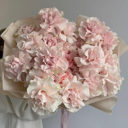 French Roses