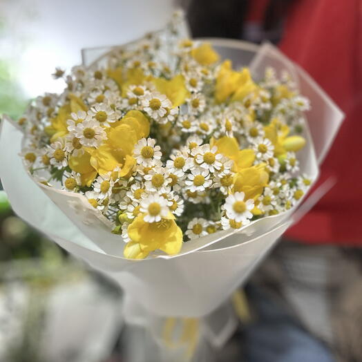 Bouquet of matricaria
